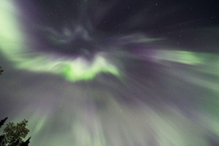 Fairbanks: Moonlight Dog Sled, Dinner & Northern Lights - What the Moonlight Sled Ride Feels Like