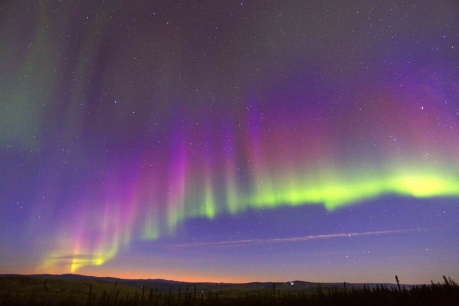Fairbanks: Moonlight Dog Sled, Dinner & Northern Lights - Guides, Stories, and the Human Side