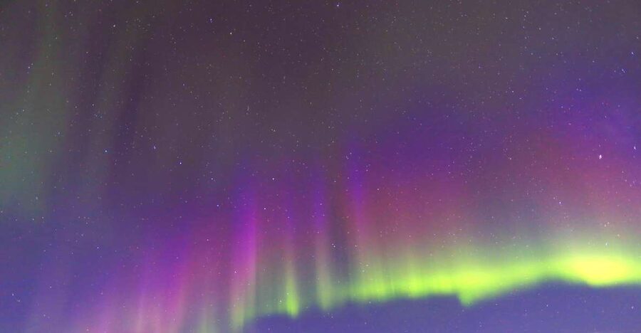 Fairbanks: Moonlight Dog Sled, Dinner & Northern Lights - Meeting the Dogs Before the Ride