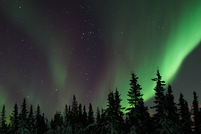 Fairbanks Northern Lights Adventure with free Aurora portraits - Key points to know before booking
