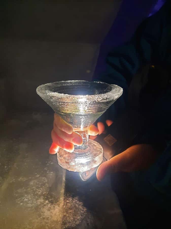 Fairbanks: Northern Lights and Chena Hot Springs Tour - Dinner, drinks, and the time trade-off