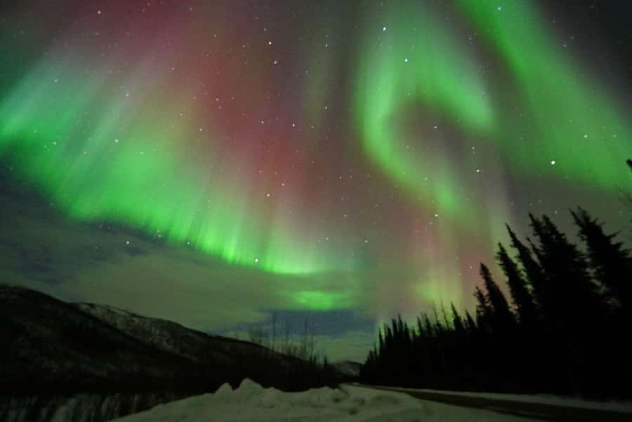 Fairbanks: Northern Lights and Chena Hot Springs Tour - Who will enjoy this tour most