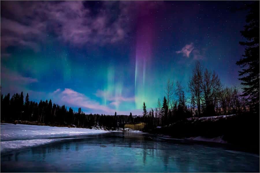 Fairbanks: Northern Lights and Chena Hot Springs Tour - The ride from Fairbanks to Chena