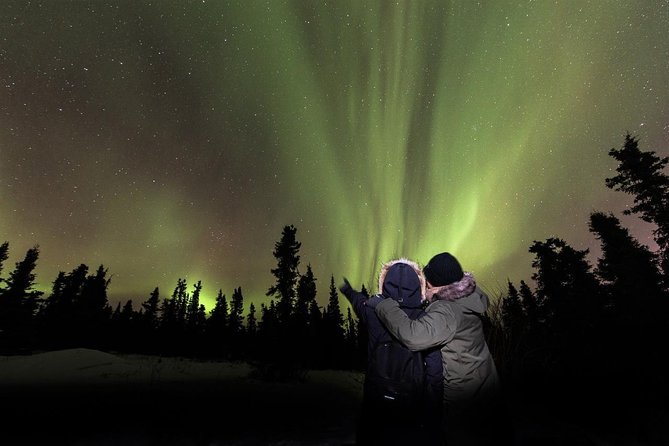 Fairbanks Northern Lights Tour - What makes this Fairbanks aurora tour worth considering