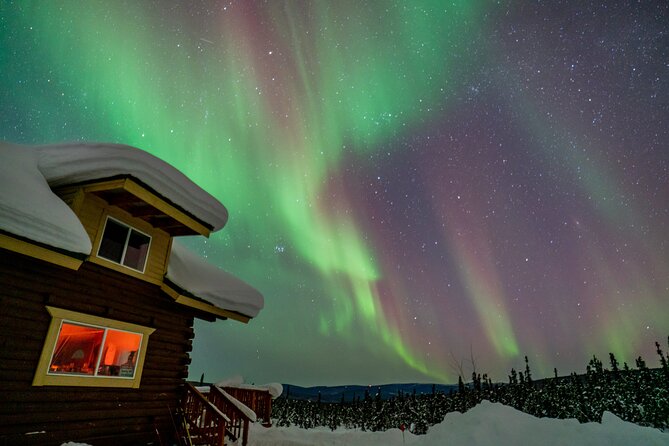 Fairbanks Northern Lights Tour - What happens if the lights are faint