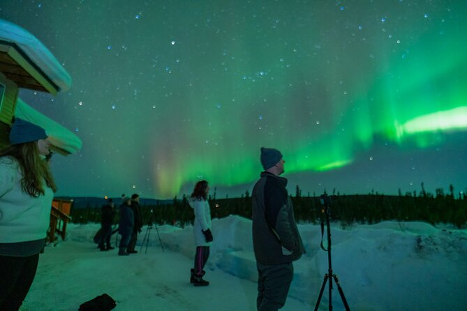 Fairbanks Northern Lights Tour - Who should book this late-night Fairbanks outing?