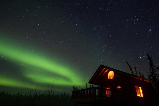 Fairbanks Northern Lights Tour - Cabin warmth or a moving aurora chase