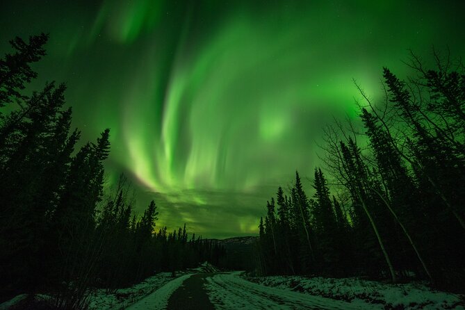 Fall Aurora Mushing Cart Ride Bucket List Adventure - Key points to know before booking