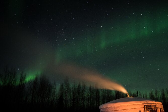 Fall Aurora Mushing Cart Ride Bucket List Adventure - Why this Fairbanks night feels different