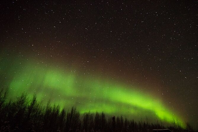Fall Aurora Mushing Cart Ride Bucket List Adventure - How much value do you get for $200?