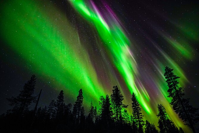Family-Friendly: Northern Lights Adventure from Rovaniemi - Key points to know before you book