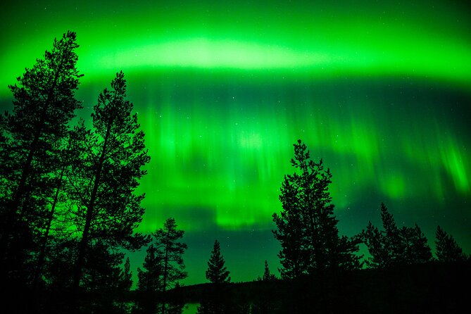Family-Friendly: Northern Lights Adventure from Rovaniemi - The drive into snowy Lapland