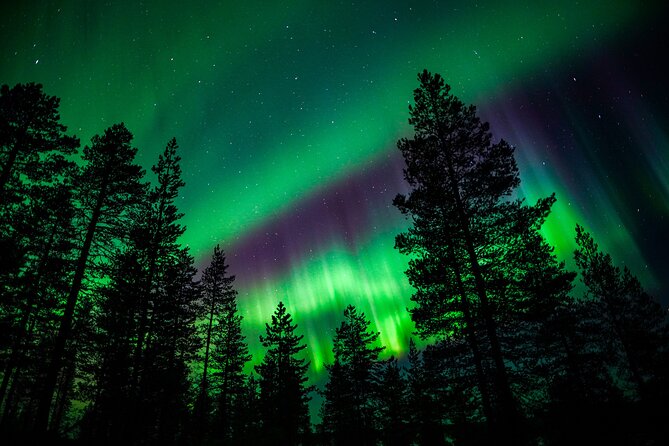 Family-Friendly: Northern Lights Adventure from Rovaniemi - The tour’s real strengths and limits