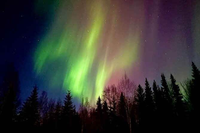 Fire & Ice: Chena Hot Springs, Ice Museum + Aurora Adventure - Why this Chena Hot Springs evening works
