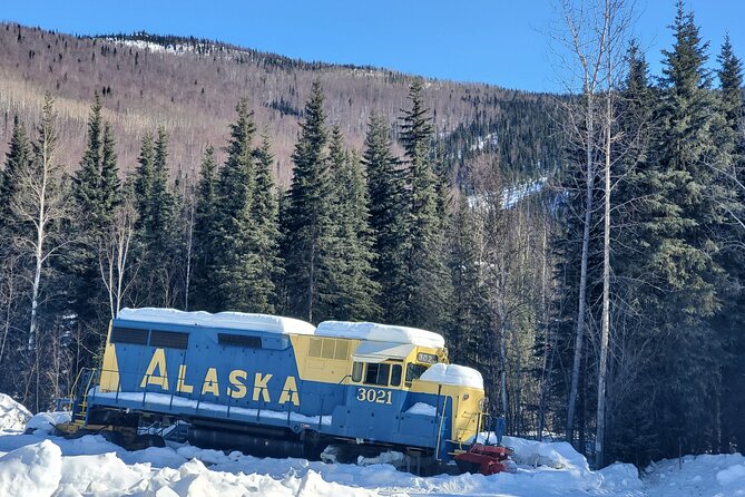 Fire & Ice: Chena Hot Springs, Ice Museum + Aurora Adventure - Chena Hot Springs and the Aurora Ice Museum