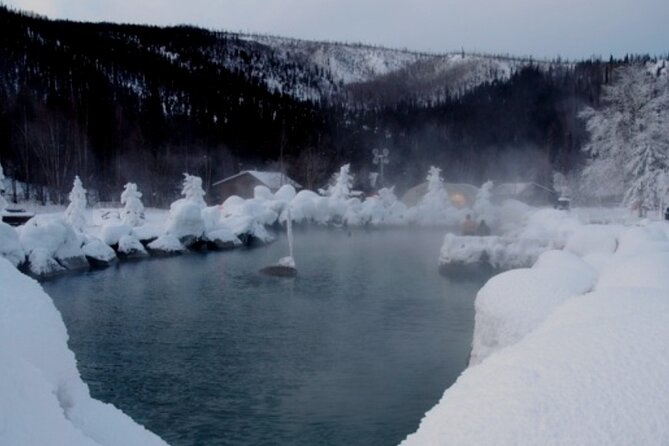 Fire & Ice: Chena Hot Springs, Ice Museum + Aurora Adventure - Aurora viewing after dark