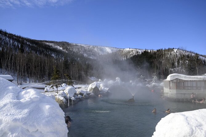 Fire & Ice: Chena Hot Springs, Ice Museum + Aurora Adventure - What $270 gets you