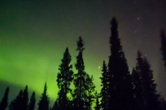 Fire & Ice: Chena Hot Springs, Ice Museum + Aurora Adventure - Who should book this experience