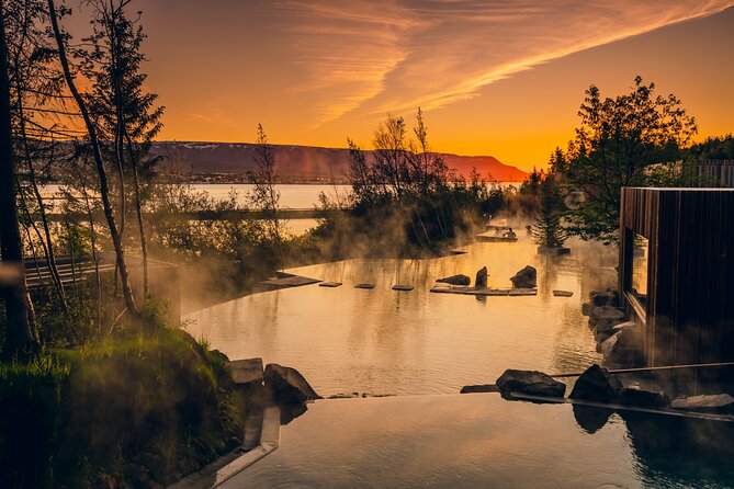 Forest Lagoon and Northern Lights Guided Night Tour - Why this Akureyri night tour works