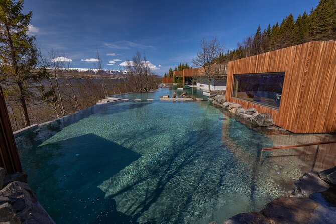 Forest Lagoon and Northern Lights Guided Night Tour - Weather, cancellations, and the no-show risk