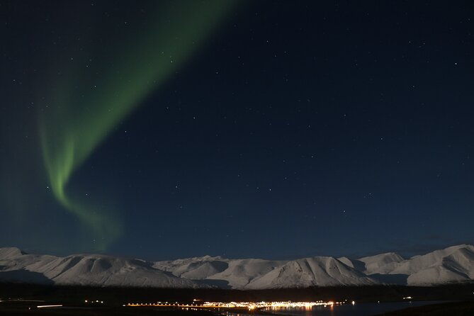 Forest Lagoon and Northern Lights Guided Night Tour - Who should book this evening