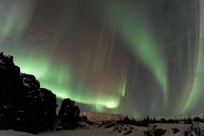 Forest Lagoon and Northern Lights Guided Night Tour - Two quiet hours at Forest Lagoon