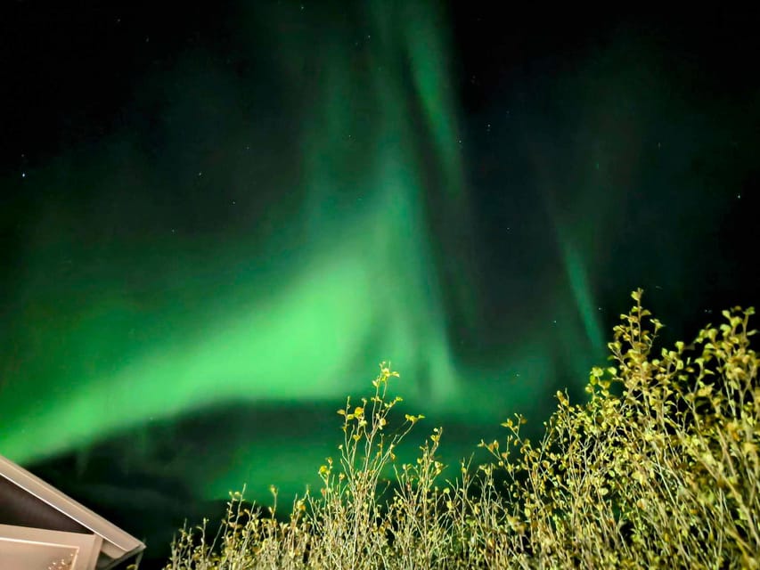 From Akureyri: Northern Lights Tour - Warm drinks, blankets, and the cold