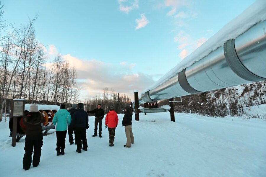 From Fairbanks: Arctic Circle Northern Lights Full-Day Trip - The Trans-Alaska Pipeline, a lesson beside the road