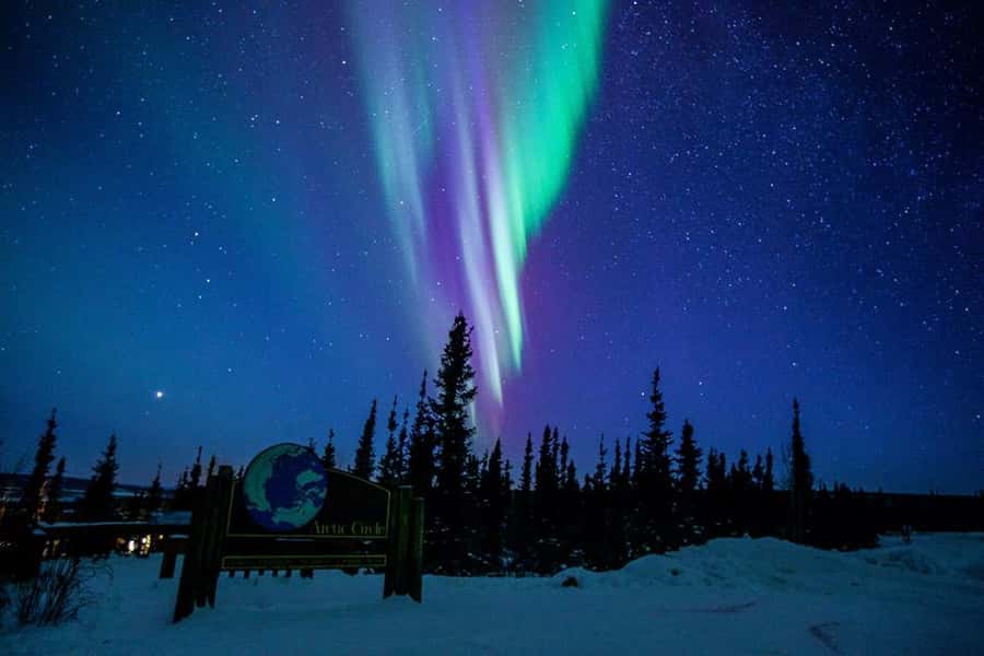 From Fairbanks: Northern Lights and Arctic Circle Tour - Key points before you book