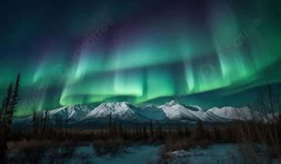 From Fairbanks: Northern Lights and Arctic Circle Tour - The Arctic Circle crossing and certificate