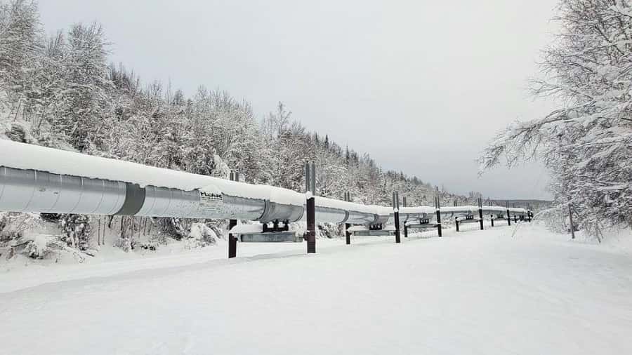 From Fairbanks: Northern Lights and Arctic Circle Tour - The Northern Lights: reward, not guarantee