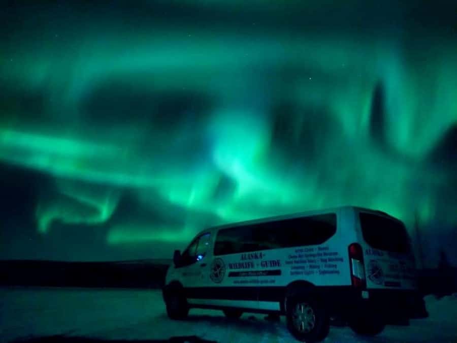 From Fairbanks: Northern Lights and Arctic Circle Tour - The Trans-Alaska Pipeline, explained beside the road
