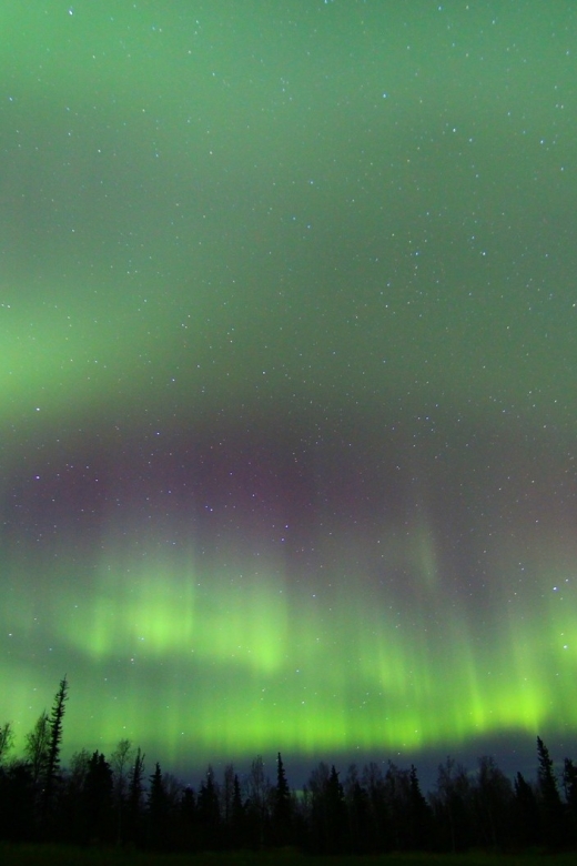 From Fairbanks: Northern Lights & Murphy Dome Tour - Key points to know before you book