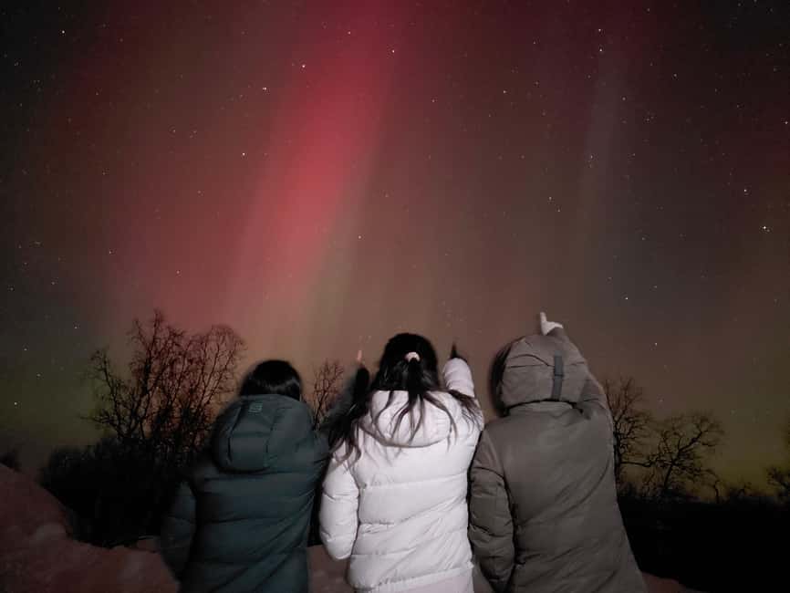 From Kiruna: Abisko National Park Northern Lights Tour - Key points to know before you book