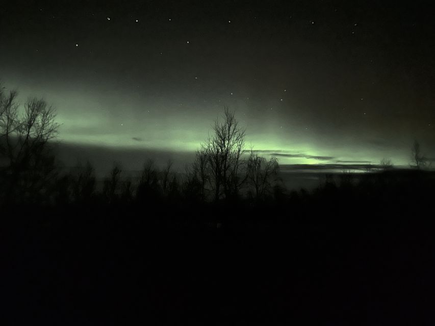 From Kiruna: Abisko National Park Northern Lights Tour - How the aurora hunt really works