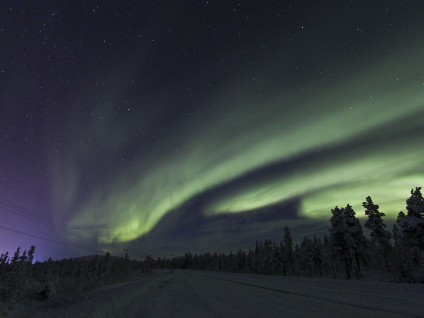 From Kiruna: Northern Lights Guided Husky Sledding Adventure - Key points at a glance