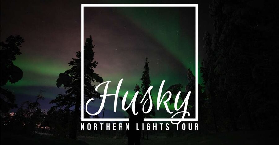 From Kiruna: Northern Lights Guided Husky Sledding Adventure - The 30-minute briefing and meeting the huskies