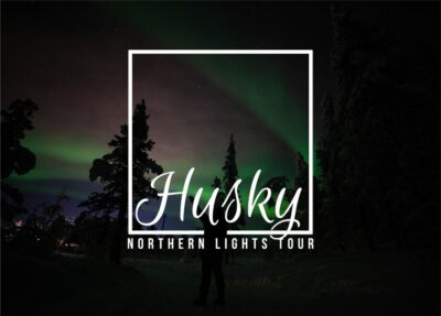Northern Lights Guided Husky Sledding Adventure