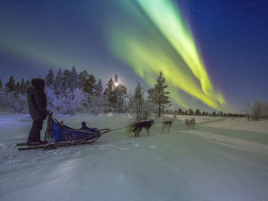 From Kiruna: Northern Lights Guided Husky Sledding Adventure - Who should book this experience?