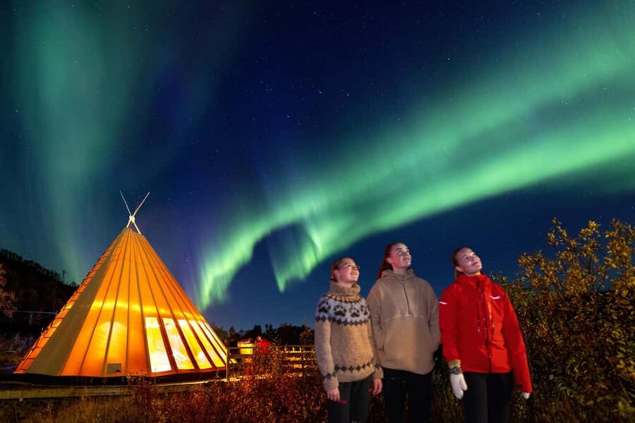 From Narvik: The Northern Lights Arctic Train Guided Tour - What the guide adds to the night