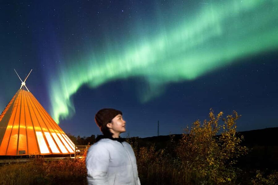 From Narvik: The Northern Lights Arctic Train Guided Tour - The northern lights: wonderful when they appear, absent when they do not