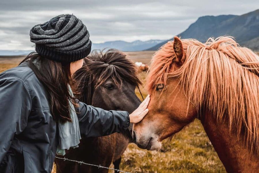 From Reykjavík: 5-Day Northern Lights Hunt & Glacier Lagoon - Why this five-day route works