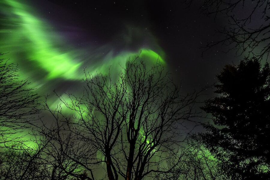 From Reykjavik: Golden Circle and Northern Lights Tour - Coaches, pickup, and comfort