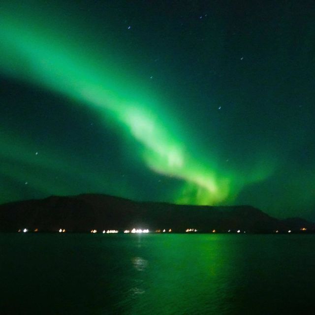 From Reykjavik: Northern Lights Boat Cruise - Is the boat comfortable for everyone?