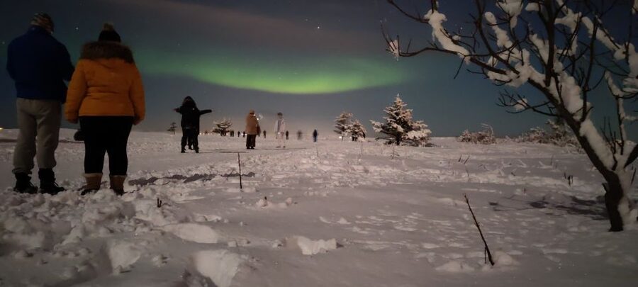 From Reykjavik: Northern Lights Chase with Expert Guide - What happens at the dark-sky stops
