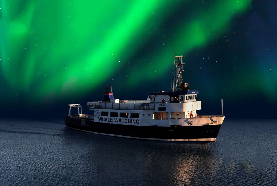From Reykjavik: Northern Lights Sightseeing Cruise - Key points before you book