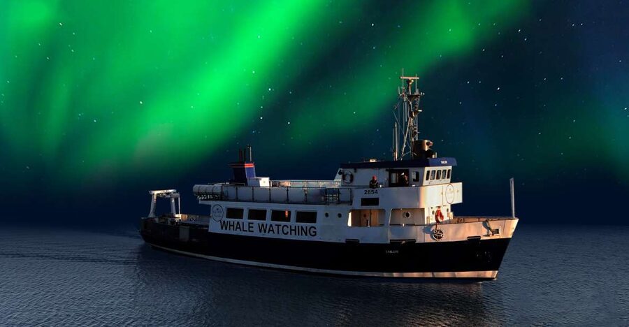 From Reykjavik: Northern Lights Sightseeing Cruise - Finding your best viewing spot on the boat
