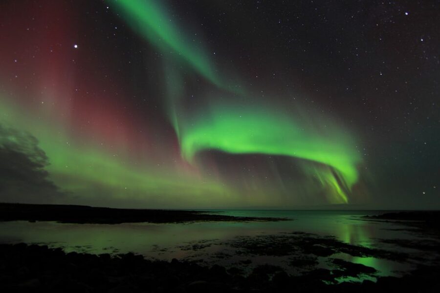 From Reykjavik: Northern Lights Tour - Key points at a glance