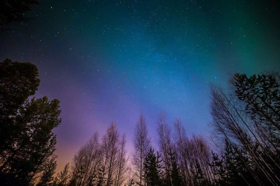From Reykjavik: Northern Lights Tour - Large coach convenience versus small-group atmosphere