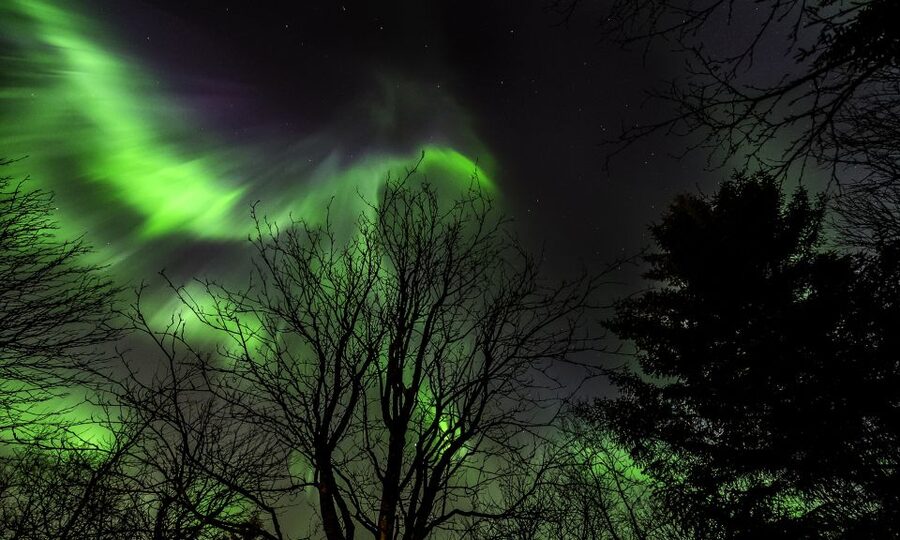 From Reykjavik: Northern Lights Tour with Lifetime Guarantee - Why this Northern Lights tour works from Reykjavik